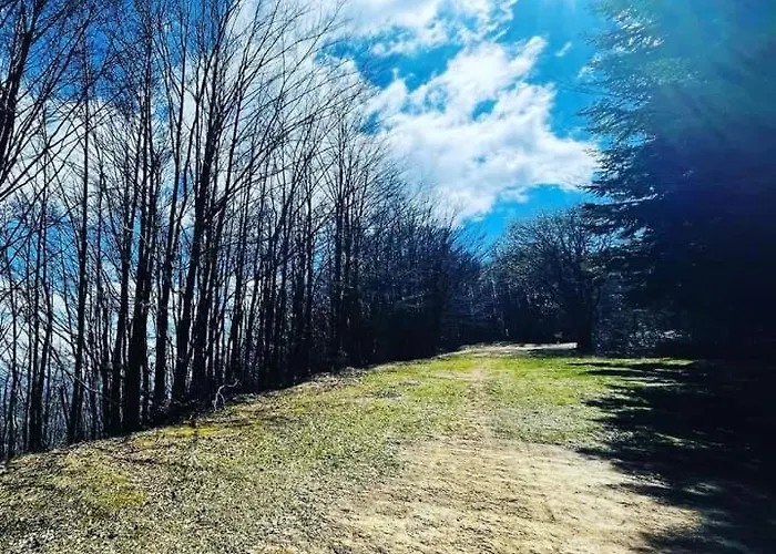 La Romana Antica Bed & Breakfast